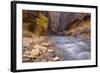 USA, Utah, Zion National Park. the Narrows of the Virgin River-Jamie & Judy Wild-Framed Photographic Print