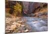 USA, Utah, Zion National Park. the Narrows of the Virgin River-Jamie & Judy Wild-Mounted Photographic Print