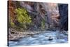 USA, Utah, Zion National Park. the Narrows of the Virgin River-Jamie & Judy Wild-Stretched Canvas