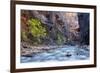 USA, Utah, Zion National Park. the Narrows of the Virgin River-Jamie & Judy Wild-Framed Photographic Print