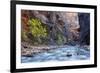 USA, Utah, Zion National Park. the Narrows of the Virgin River-Jamie & Judy Wild-Framed Photographic Print