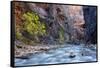 USA, Utah, Zion National Park. the Narrows of the Virgin River-Jamie & Judy Wild-Framed Stretched Canvas