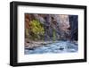 USA, Utah, Zion National Park. the Narrows of the Virgin River-Jamie & Judy Wild-Framed Photographic Print