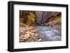 USA, Utah, Zion National Park. the Narrows of the Virgin River-Jamie & Judy Wild-Framed Photographic Print