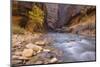 USA, Utah, Zion National Park. the Narrows of the Virgin River-Jamie & Judy Wild-Mounted Photographic Print
