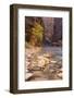 USA, Utah, Zion National Park. the Narrows of the Virgin River-Jamie & Judy Wild-Framed Photographic Print