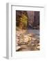 USA, Utah, Zion National Park. the Narrows of the Virgin River-Jamie & Judy Wild-Framed Photographic Print