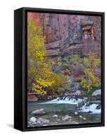 USA, Utah, Zion National Park. the Narrows with Cottonwood Trees in Autumn-Jaynes Gallery-Framed Stretched Canvas