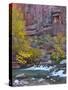 USA, Utah, Zion National Park. the Narrows with Cottonwood Trees in Autumn-Jaynes Gallery-Stretched Canvas