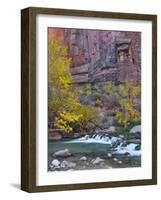 USA, Utah, Zion National Park. the Narrows with Cottonwood Trees in Autumn-Jaynes Gallery-Framed Photographic Print