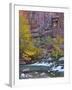 USA, Utah, Zion National Park. the Narrows with Cottonwood Trees in Autumn-Jaynes Gallery-Framed Photographic Print