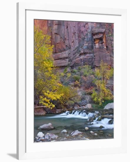 USA, Utah, Zion National Park. the Narrows with Cottonwood Trees in Autumn-Jaynes Gallery-Framed Photographic Print