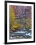 USA, Utah, Zion National Park. the Narrows with Cottonwood Trees in Autumn-Jaynes Gallery-Framed Photographic Print