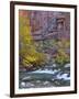 USA, Utah, Zion National Park. the Narrows with Cottonwood Trees in Autumn-Jaynes Gallery-Framed Photographic Print