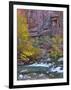 USA, Utah, Zion National Park. the Narrows with Cottonwood Trees in Autumn-Jaynes Gallery-Framed Photographic Print