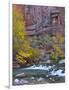 USA, Utah, Zion National Park. the Narrows with Cottonwood Trees in Autumn-Jaynes Gallery-Framed Photographic Print