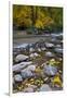 USA, Utah, Zion National Park. the Narrows with Fallen Leaves-Jaynes Gallery-Framed Photographic Print