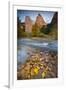 USA, Utah, Zion National Park. the Sentinel with Fallen Leaves in Virgin River-Jaynes Gallery-Framed Photographic Print