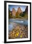 USA, Utah, Zion National Park. the Sentinel with Fallen Leaves in Virgin River-Jaynes Gallery-Framed Photographic Print