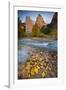 USA, Utah, Zion National Park. the Sentinel with Fallen Leaves in Virgin River-Jaynes Gallery-Framed Photographic Print