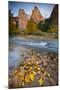 USA, Utah, Zion National Park. the Sentinel with Fallen Leaves in Virgin River-Jaynes Gallery-Mounted Photographic Print