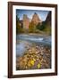 USA, Utah, Zion National Park. the Sentinel with Fallen Leaves in Virgin River-Jaynes Gallery-Framed Photographic Print