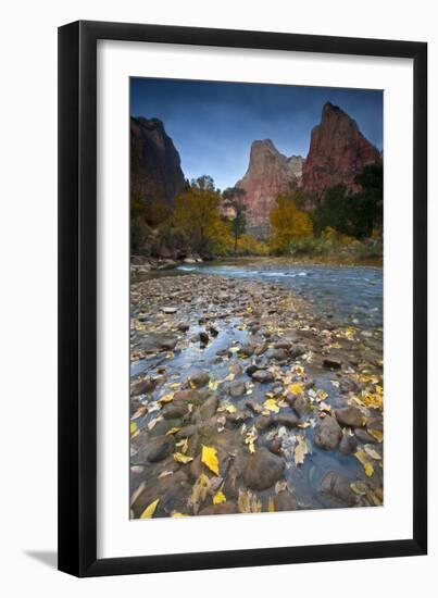 USA, Utah, Zion National Park. the Sentinel with Fallen Leaves in Virgin River-Jaynes Gallery-Framed Premium Photographic Print