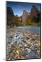 USA, Utah, Zion National Park. the Sentinel with Fallen Leaves in Virgin River-Jaynes Gallery-Mounted Photographic Print