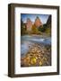 USA, Utah, Zion National Park. the Sentinel with Fallen Leaves in Virgin River-Jaynes Gallery-Framed Photographic Print