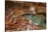 USA, Utah, Zion National Park the Subway-John Ford-Stretched Canvas