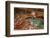 USA, Utah, Zion National Park the Subway-John Ford-Framed Photographic Print