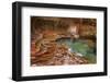 USA, Utah, Zion National Park the Subway-John Ford-Framed Photographic Print