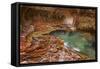 USA, Utah, Zion National Park the Subway-John Ford-Framed Stretched Canvas