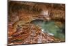 USA, Utah, Zion National Park The Subway-John Ford-Mounted Photographic Print