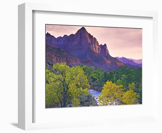 USA, Utah, Zion National Park. The Watchman formation and the Virgin River in autumn.-Jaynes Gallery-Framed Photographic Print