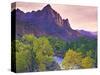 USA, Utah, Zion National Park. The Watchman formation and the Virgin River in autumn.-Jaynes Gallery-Stretched Canvas