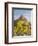 USA, Utah. Zion National Park, The Watchman-Jamie & Judy Wild-Framed Photographic Print