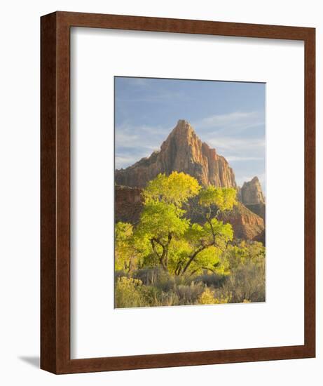 USA, Utah. Zion National Park, The Watchman-Jamie & Judy Wild-Framed Photographic Print
