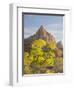 USA, Utah. Zion National Park, The Watchman-Jamie & Judy Wild-Framed Photographic Print