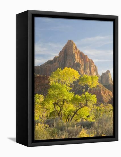 USA, Utah. Zion National Park, The Watchman-Jamie & Judy Wild-Framed Stretched Canvas