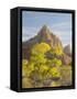 USA, Utah. Zion National Park, The Watchman-Jamie & Judy Wild-Framed Stretched Canvas