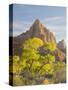 USA, Utah. Zion National Park, The Watchman-Jamie & Judy Wild-Stretched Canvas