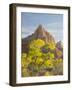 USA, Utah. Zion National Park, The Watchman-Jamie & Judy Wild-Framed Photographic Print