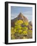 USA, Utah. Zion National Park, The Watchman-Jamie & Judy Wild-Framed Photographic Print