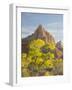 USA, Utah. Zion National Park, The Watchman-Jamie & Judy Wild-Framed Photographic Print