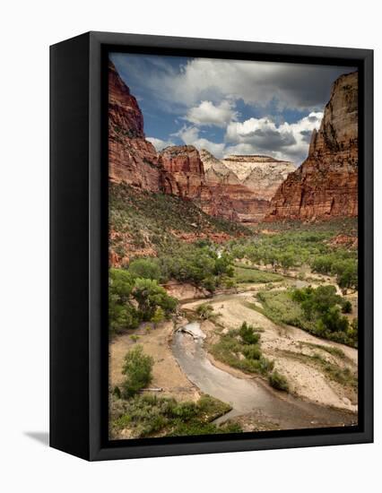 USA, Utah, Zion National Park. View Along the Virgin River-Ann Collins-Framed Stretched Canvas