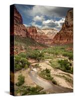 USA, Utah, Zion National Park. View Along the Virgin River-Ann Collins-Stretched Canvas