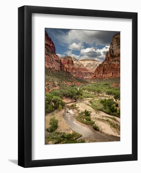 USA, Utah, Zion National Park. View Along the Virgin River-Ann Collins-Framed Premium Photographic Print