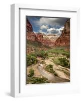 USA, Utah, Zion National Park. View Along the Virgin River-Ann Collins-Framed Premium Photographic Print