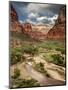 USA, Utah, Zion National Park. View Along the Virgin River-Ann Collins-Mounted Premium Photographic Print